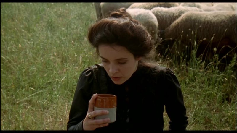 porn флореаль пора цветения фиориль пора цветения фиориль дикий цветок fiorile 1993 hq hd