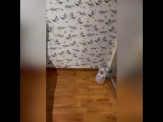 porn горячая школьная вечеринка hd