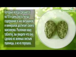 porn зеленые ростки пшеницы прессованные полезные свойства ростков пшеницы hd