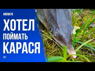 porn хотел поймать карася но попалась стерлядь 12 hd