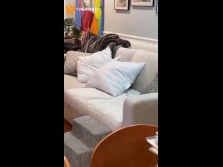 porn видео от подушки одеяла постельное бель pro отель hd