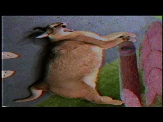 porn шлепа рекламирует колбасу hd