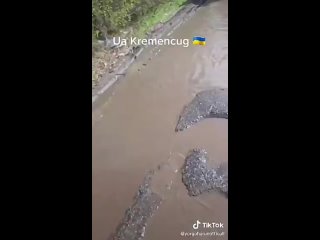 porn вы думаете это африка амазонка нет это украина hd