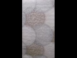 porn новиночка которая пользуется популярностью hd