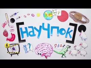 porn научпок как слышит муравей и другие создания научпок hd