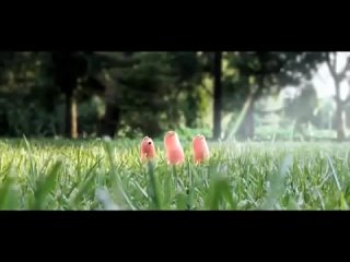 porn илона сухорукова бизнес с нуля обалденный мотивационный ролик hd