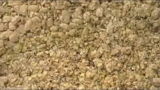 porn какделать разное как сделать соевый соус hd