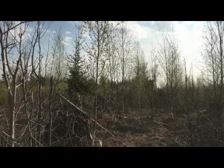 porn в любой момент могли спалить но она продолжала hd