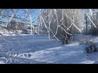 porn зимняя сказка в парке северное тушино зима москва красотаприроды hd