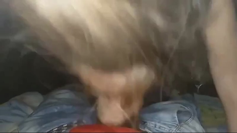 porn наташка очень старательно сосет чтобы заработать на айфон порно ебля инцест минет трахсексизмена hd