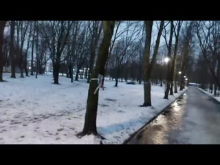 porn сегодня утром в барановичах в сквере на многих деревьях появилось более 100 портретов политзаключённых hd