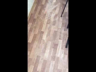 porn директор школы отчитала ученицу за толстоватые ноги hd