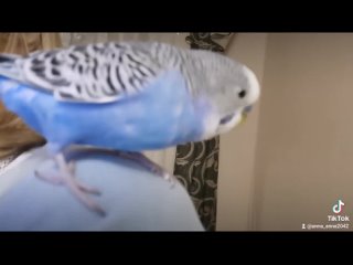 porn скукотищщща smile heart eyes вспомнилось февральское видео blush hd mp4 hd