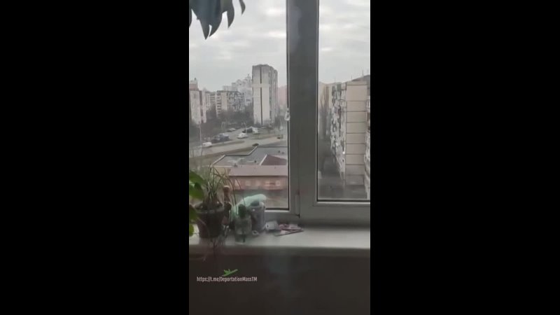porn по предварительным данным так развлекаются чеченцы hd