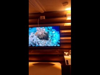 porn live примавера баня с бассейном верхняя курья пермь hd