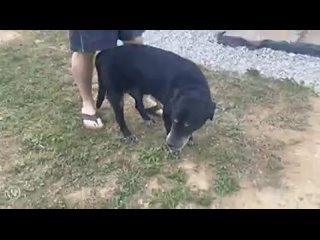 porn good ol boi passed away today friend of 18 years hes not drunk he was just fking old and most hd
