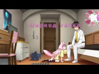 porn zms vr000w течка у кошкодевочки hd