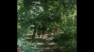 porn тарзан x позор джейн tarzan x shame of jane 1995 порно фильм hd