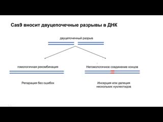 porn gi5 как решать задачи на crisprcas9 механизм и pam hd