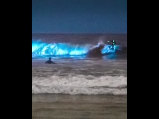 porn в сан диего есть пляж где вода и песок в определённые дни излучают яркое синее свечение ролик с ним набрал hd