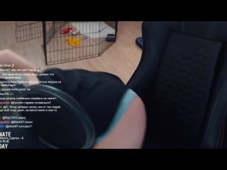 porn аринян спалила трусики на стриме слив сливы знаиенитостей ahrinyan попа грудь сиськи попка стримерша ахринян твич hd