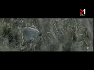 porn друга ріка ти зі мною я здаюсь hd
