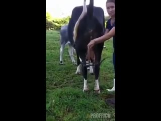 porn видео от знакомства и объявления геи би трансы пары hd