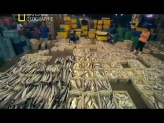 porn на крючке ловля монстров 4 серия hd