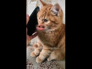 porn это я говорю подружке когда после вечеринки она сильно напилась hd