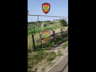 porn появилось первое видео из полностью освобожденной вс рф синькои на купянском направлении hd