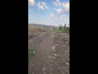 porn та сторона прилеты российских авиабомб по украинским позициям на запорожском направлении hd