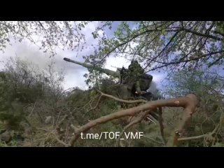porn боевая работа морпехов тоф в честь их профессионального праздника hd