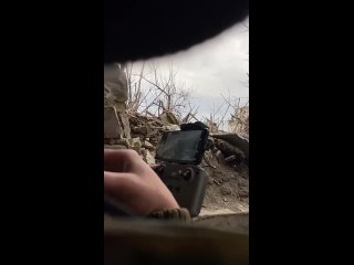 porn как я провел свой прошлый день рождения hd