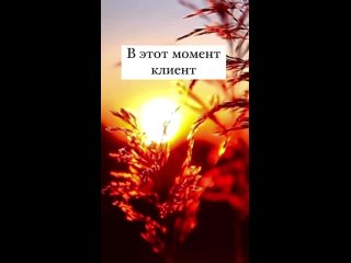 porn видео от лазерная эпиляция армавир депиляция cactus kity hd
