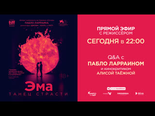 porn прямая трансляция встречи с режиссером пабло ларраином hd