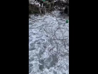 porn это видео четко показывает эмоциональное состояние молодые на передовой hd