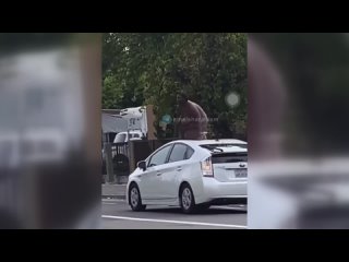 porn улицы городов сша голая жирная негритянка залезла на чужой автомобиль hd