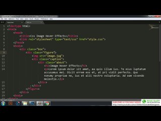 porn css image hover effects 6 zoom in zoom out hover effects cool css hover effects tutorial hd