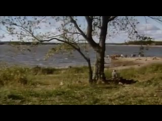 porn красная вишня алые вишни red cherry hong ying tao 1995 часть 1 hd