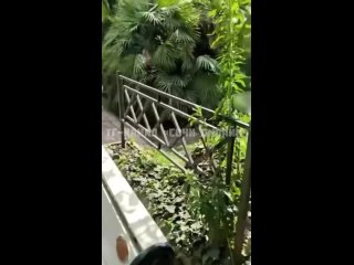 porn в сочи прилюдно занялись сексом hd