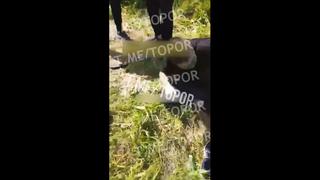 porn поймали закладчицу и её парня hd
