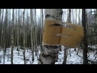 porn муж и жена mees ja naine 2016 эстония экранизация необычной водской сказки webrip hd