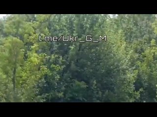 porn армейская и штурмовая авиация с рф продолжают успешно выполнять задачи по уничтожению живой силы и техники hd