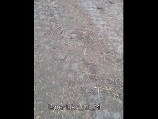 porn уничтоженная российскими войсками колонна бронетехники всу на запорожском направлении демилитаризация в деле сво всу hd