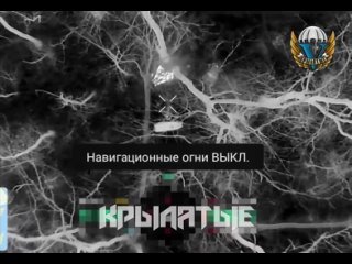 porn артемовское направление продолжается отлов заблудившихся в лесу представителей потерянной страны russian airborne hd
