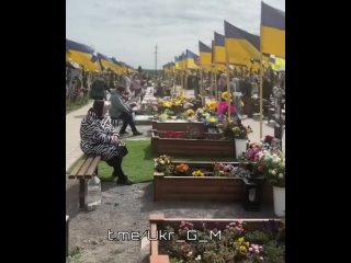 porn так сейчас выглядит кладбище в хмельницком такое впечатление что зеленский успешно идет к своей цели сделать из hd