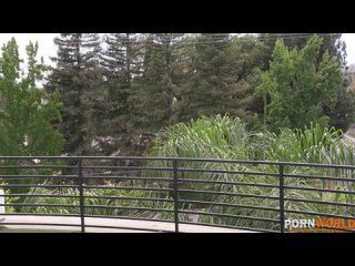 porn грудастая милфа блондинка кори чейз получает анальную трамбоу cory chase takes anal ramming hd