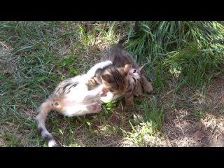 porn приехал племянник училки опять в лагере перемены 1080p hd hd