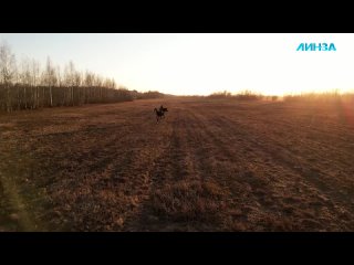 porn жизнь с секс куклой психическое отклонение или альтернатива реальным отношениям hd