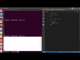 porn shell scripting tutorial for beginners 18 until loop hd